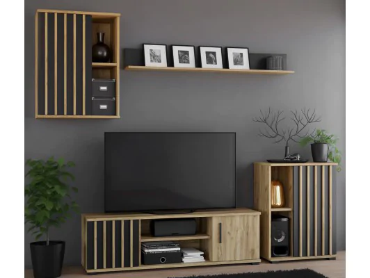 Zestaw mebli do salonu 4-elementy MONTANA 01 CRAFT