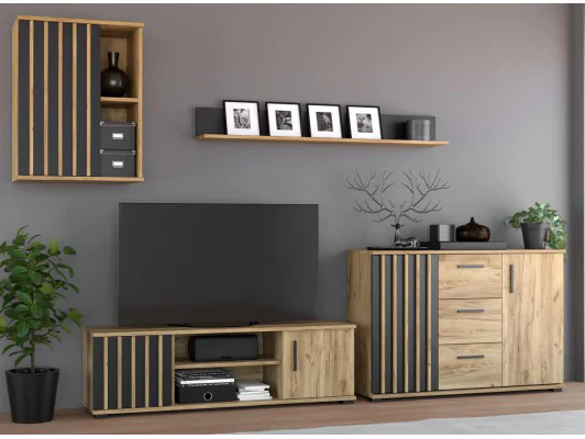 Zestaw mebli do salonu 4-elementy MONTANA 03 CRAFT