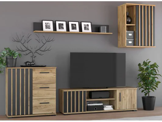 Zestaw mebli do salonu 4-elementy MONTANA 04 CRAFT