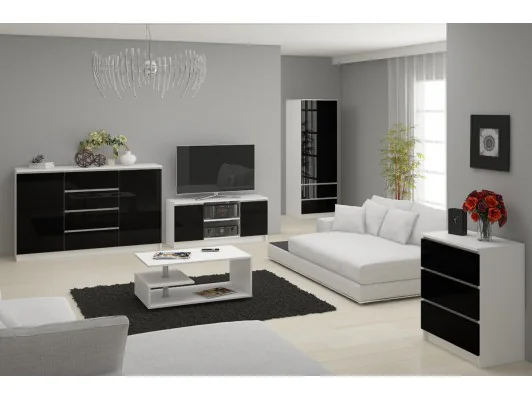 SZAFA STAR S 60 cm 2 DRZWI 2 SZUFLADY PK BIAŁA / CZARNY POŁYSK