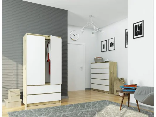 SZAFA S90 2D 2SZ CLP PK DĄB ARTISAN / BIAŁA