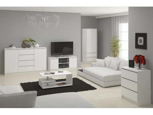 SZAFA STAR S 60 cm 2 DRZWI 2 SZUFLADY PK BIAŁA