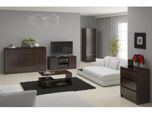 SZAFA STAR S 60 cm 2 DRZWI 2 SZUFLADY WENGE