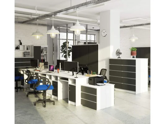 BIURKO ANA PK BIAŁY / SZARY