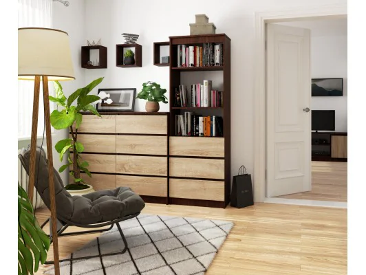 REGAŁ R60 3SZ 2P CLP VENGE / SONOMA