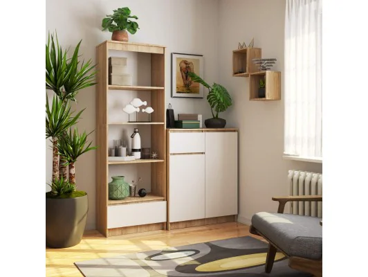 REGAŁ R60 1SZ 4P CLP PK DĄB SONOMA / BIAŁY