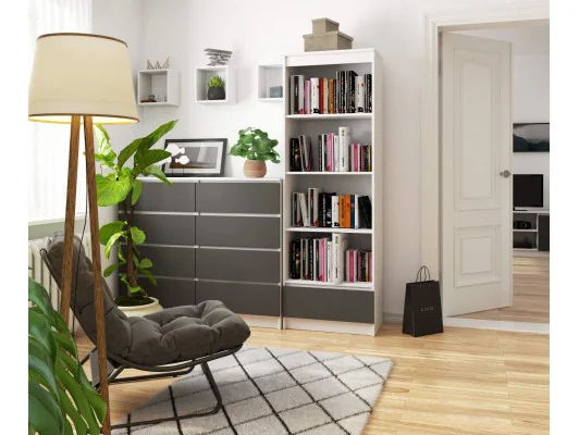 REGAŁ R60 1SZ 4P CLP BIAŁY / SZARY