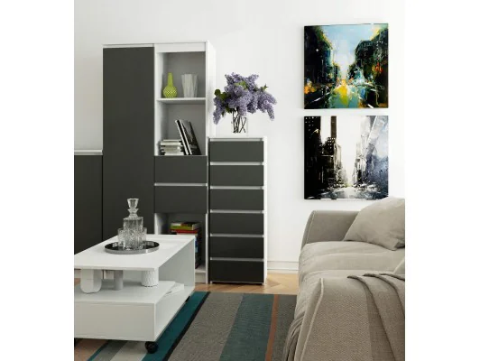 KOMODA CL6 PK BIAŁA / SZARA