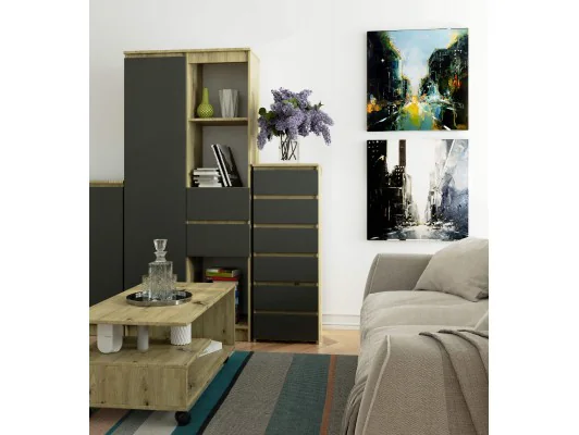 KOMODA CL6 PK DĄB ARTISAN / SZARA