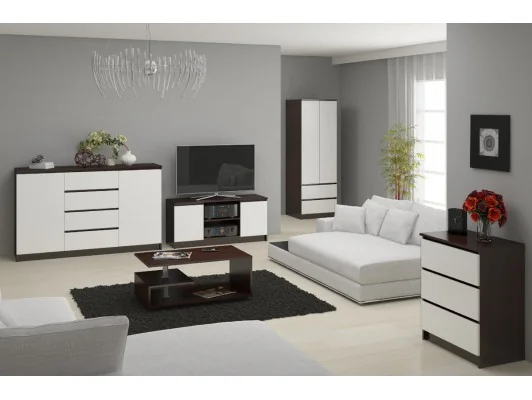 SZAFKA RTV 120 cm 2D 1P WENGE / BIAŁA