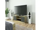 KOMODA RTV K120 2D 1P CLP DĄB ARTISAN / SZARY