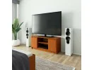 SZAFKA RTV 120 cm 2D 1P OLCHA