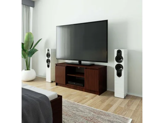 SZAFKA RTV 120 cm 2D 1P WENGE