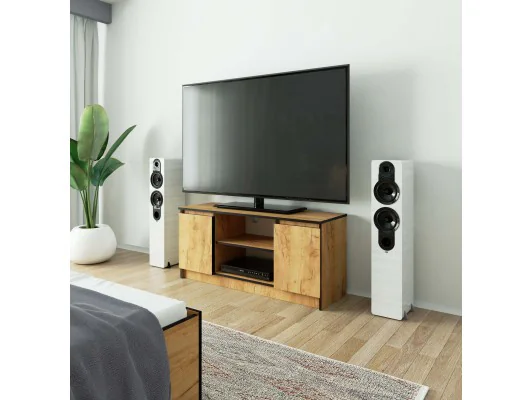 KOMODA RTV K120 2D 1P CLP DĄB CRAFT