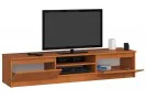 SZAFKA RTV 160 cm 2D 1P OLCHA
