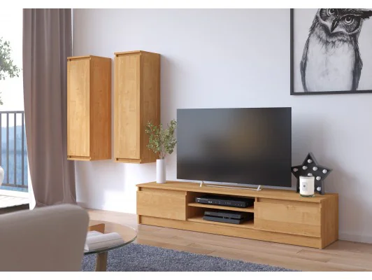 SZAFKA RTV 160 cm 2D 1P OLCHA