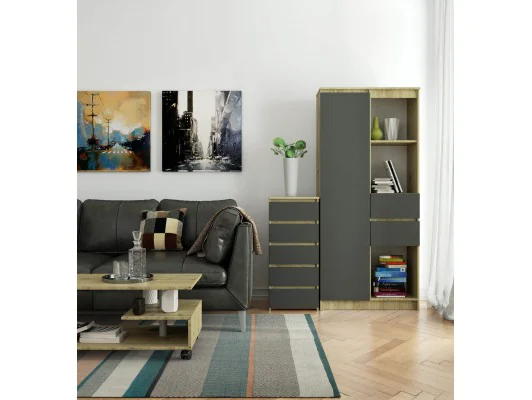 KOMODA CL5 PK DĄB ARTISAN / SZARA