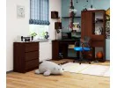 BIURKO TED WENGE