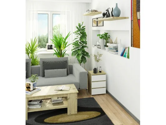 KOMODA CL3/40 DĄB PK ARTISAN / BIAŁA