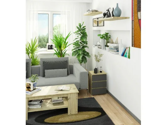 KOMODA CL3/40 PK DĄB ARTISAN / SZARA