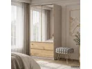 Szafa S90 2D 2Sz Clp Pk Lustro Kaszmir / Dąb Artisan