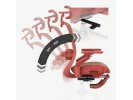 Fotel Obrotowy Leadpro 8.7 Red