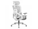 Fotel Ergonomiczny Expert 9.3 Grey