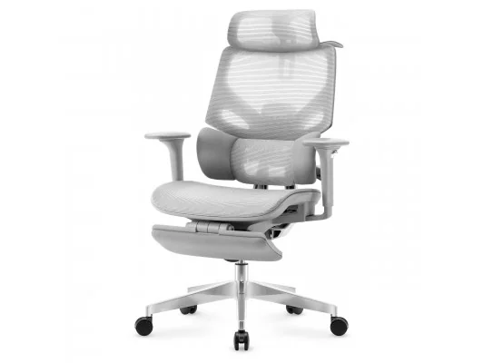 Fotel Ergonomiczny Expert 8.7 Grey Mesh