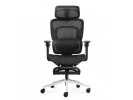Fotel Biurowy Z Masażem Visioner 8.3 Black