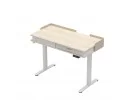 Biurko Elektryczne Leader 8.0 White 120 Cm