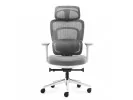 Fotel Biurowy Z Masażem Visioner 6.1 Grey